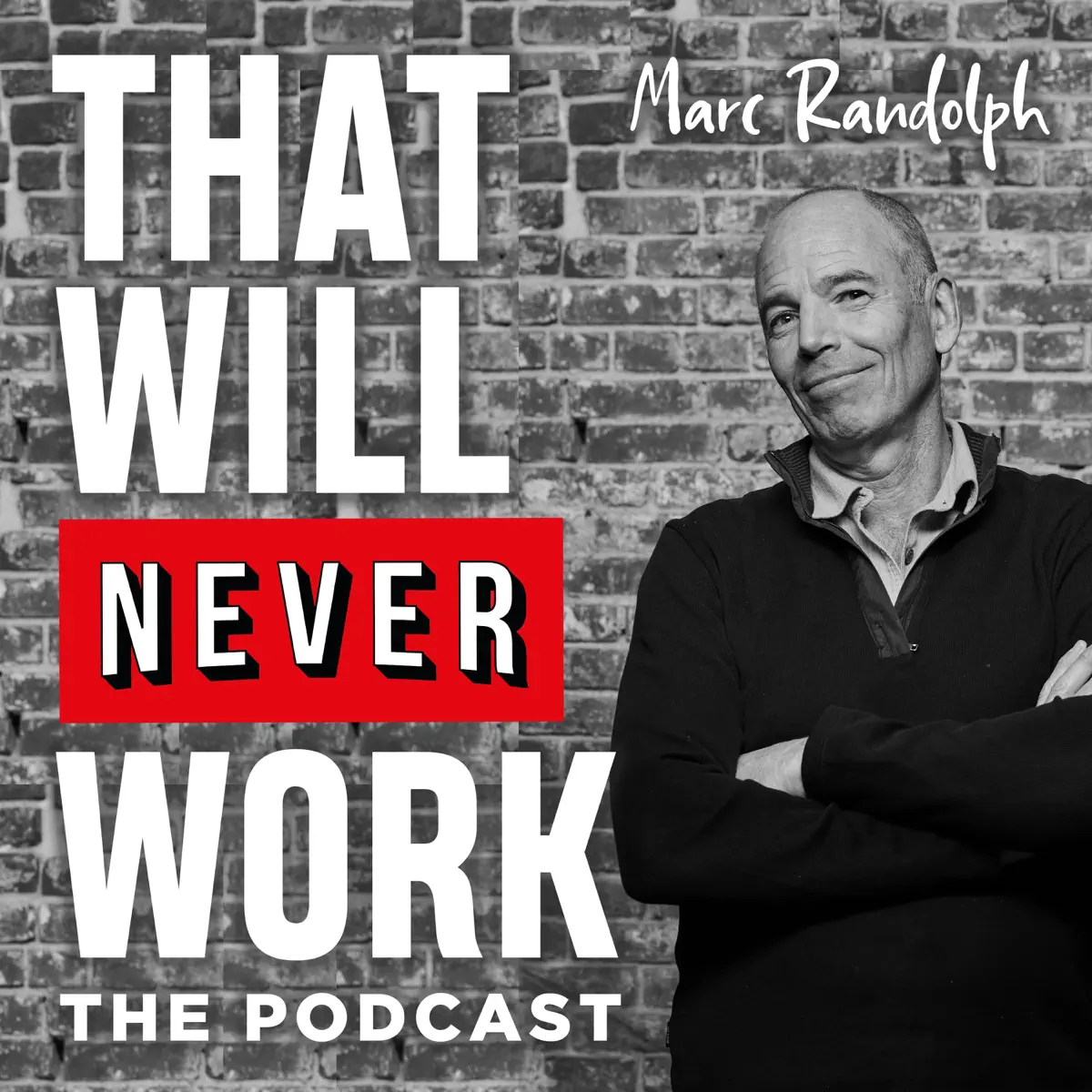 That Will Never Work - Podcast - Apple Podcasts