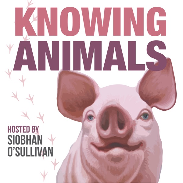 Knowing Animals Artwork