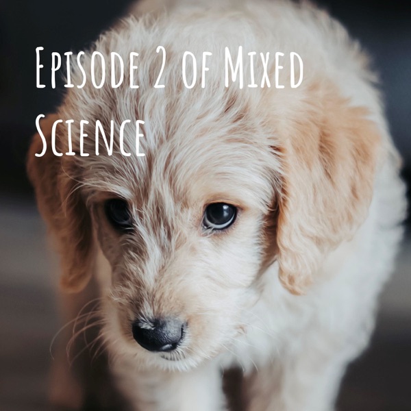 Episode 2 of Mixed Science Artwork