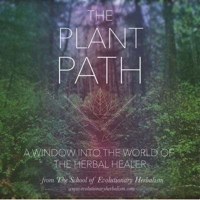 The Plant Path The Plant Path