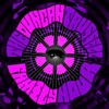Duncan Trussell Family Hour