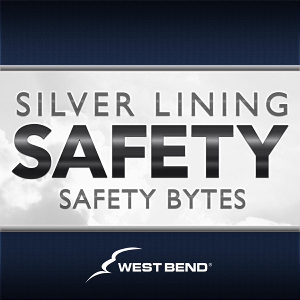 Silver Lining Safety - Safety Bytes