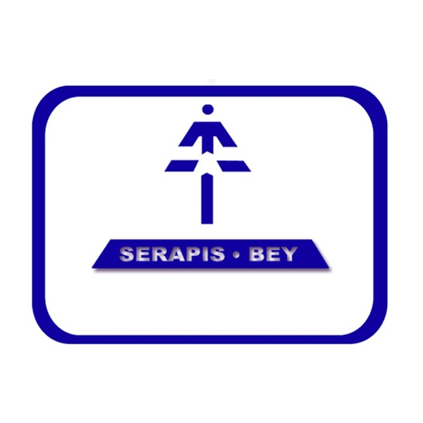 2020 Serapis Bey - Tu Responsabilidad por el Uso de la Vida