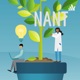 NANT 