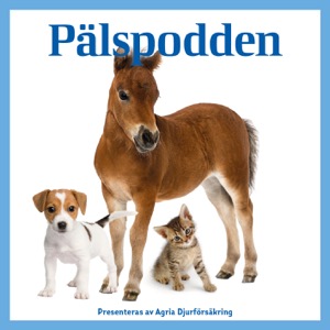 Pälspodden