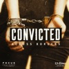 Convicted: Across Borders artwork