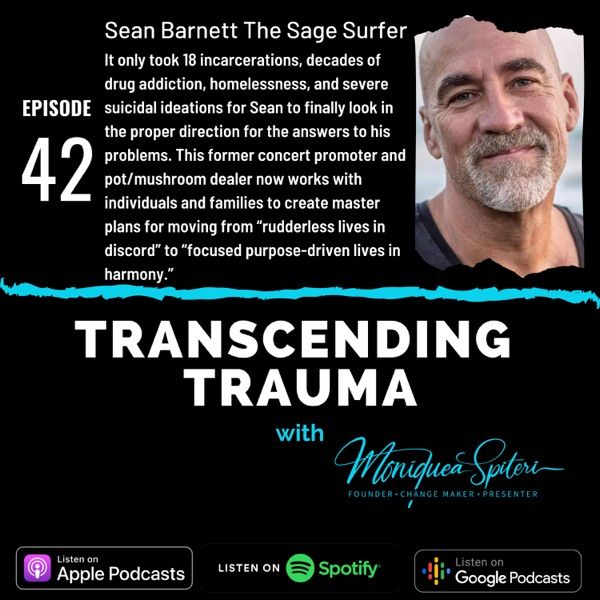 Episode 42 - Sean Barnett - The Sage Surfer photo