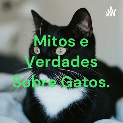 Mitos e Verdades Sobre Gatos.
