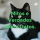 Mitos e Verdades Sobre Gatos.