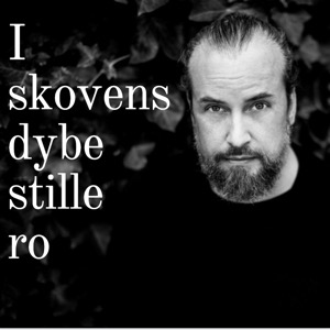 I skovens dybe stille ro