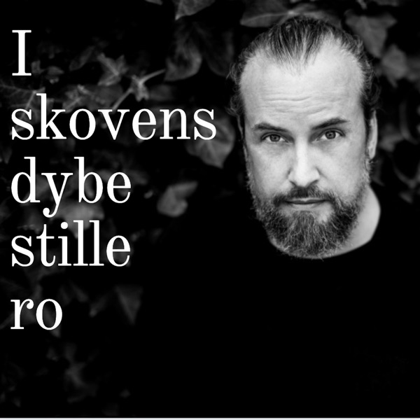 I skovens dybe stille ro