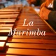 Todo sobre la Marimba