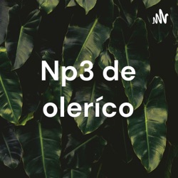 Np3 de oleríco