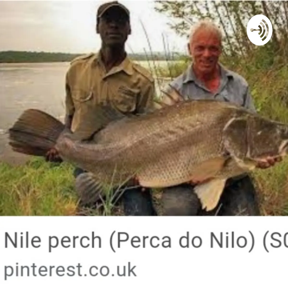 Podcast la perca del Nilo: el ... - La Perca Del Nilo: El Infortunio De  Tanzania - Apple 播客, image size:1200x1200