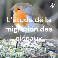 L'étude de la migration des oiseaux