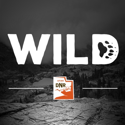 Wild Wild