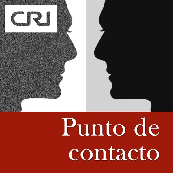 Punto de contacto