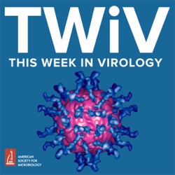 TWiV 1113: Influenza virus H5N1 in cows' milk with Richard Webby