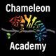 Panther Chameleons in the Wild