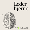 Lederhjerne - Lederstof.dk