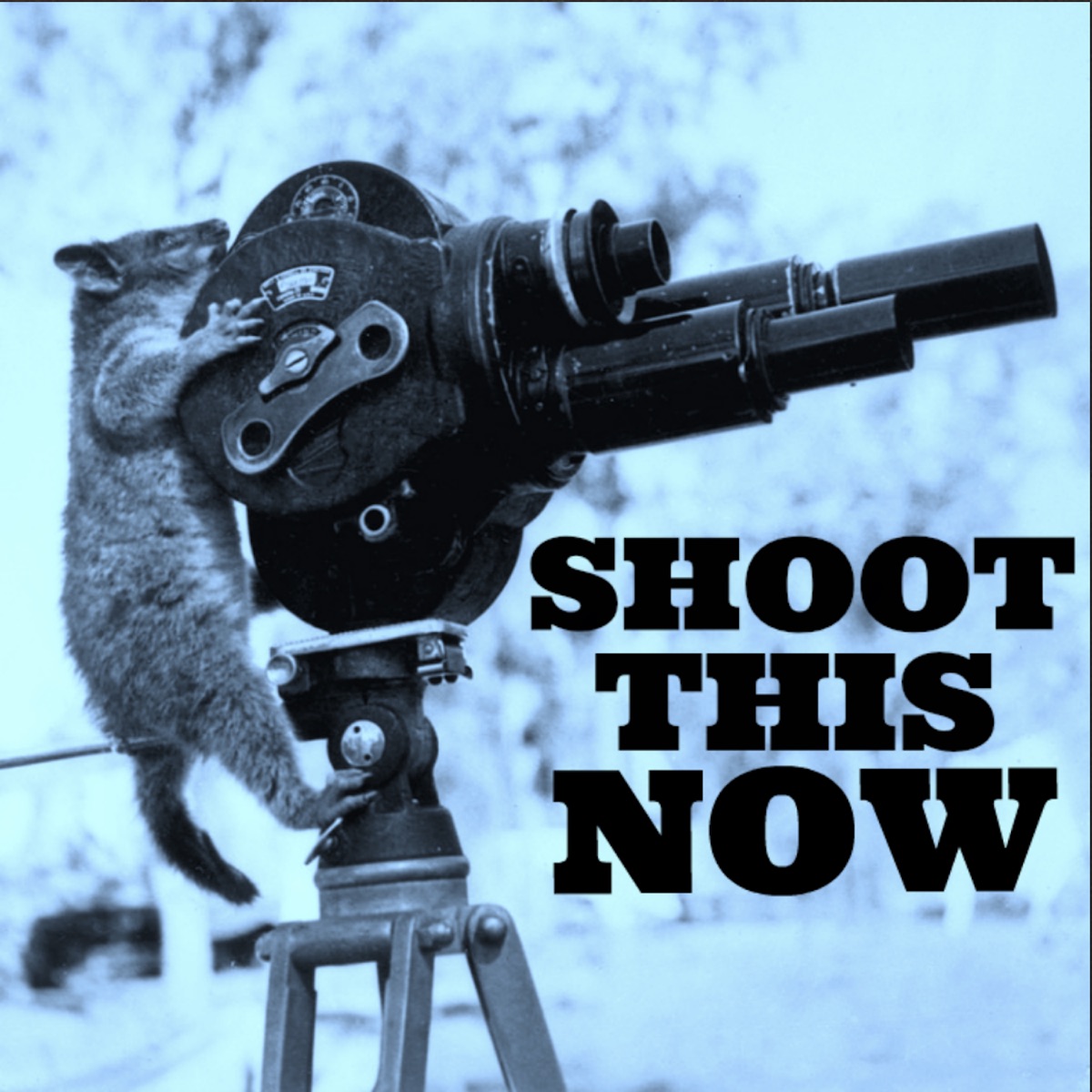 Homemade Amateur Porn Nudist Camp - The Barry Rothbart Nudist Videographer Story â€“ Shoot This Now â€“ Podcast â€“  Podtail