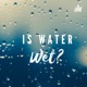 Is water wet? 