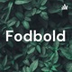 Fodbold