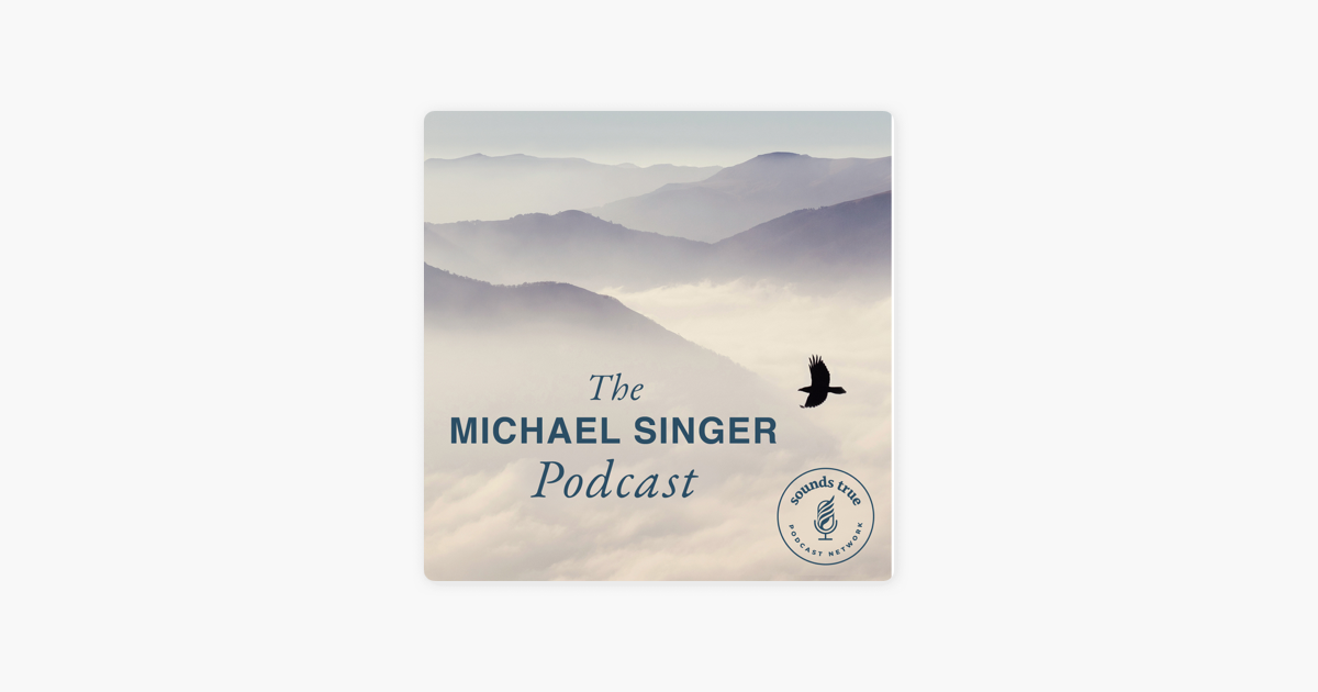 ‎Michael Singer Podcast on Apple Podcasts