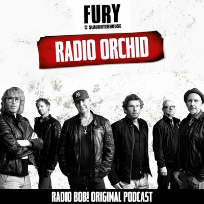 Radio Orchid – der Fury in the Slaughterhouse Podcast bei RADIO BOB! Radio Orchid – der Fury in the Slaughterhouse Podcast bei RADIO BOB!