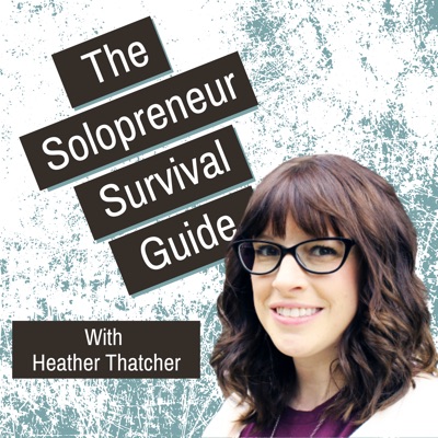 The Solopreneur Survival Guide The Solopreneur Survival Guide