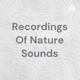 Recordings Of Nature Sounds