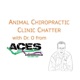 🎥🎙️ Animal Chiropractic Clinic Chatter | Interview with Dr. Haley Surface - Episode 82 🐾