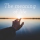 The meaning of life
