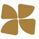 Cluster2_Riyadh C2