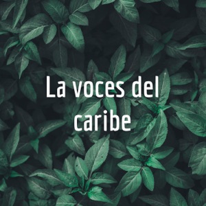 La voces del caribe