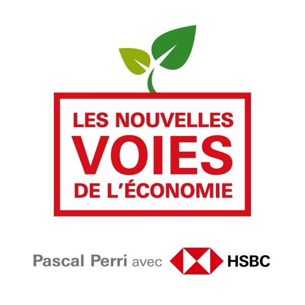 Couverture Les nouvelles voies de l'économie