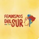 Feminismos del Sur 