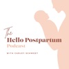 Hello Postpartum artwork