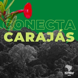 Conecta Carajás