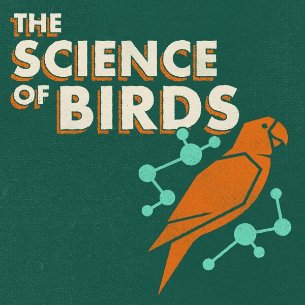 The Science of Birds podcast show image