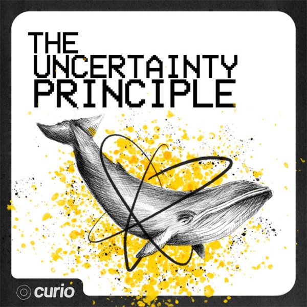 The Uncertainty Principle
