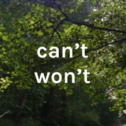 can't won't