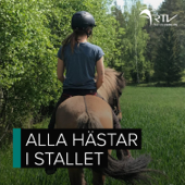Ålands Radio - Alla hästar i stallet - Ålands Radio