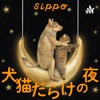 犬猫だらけの夜 -sippo channel-