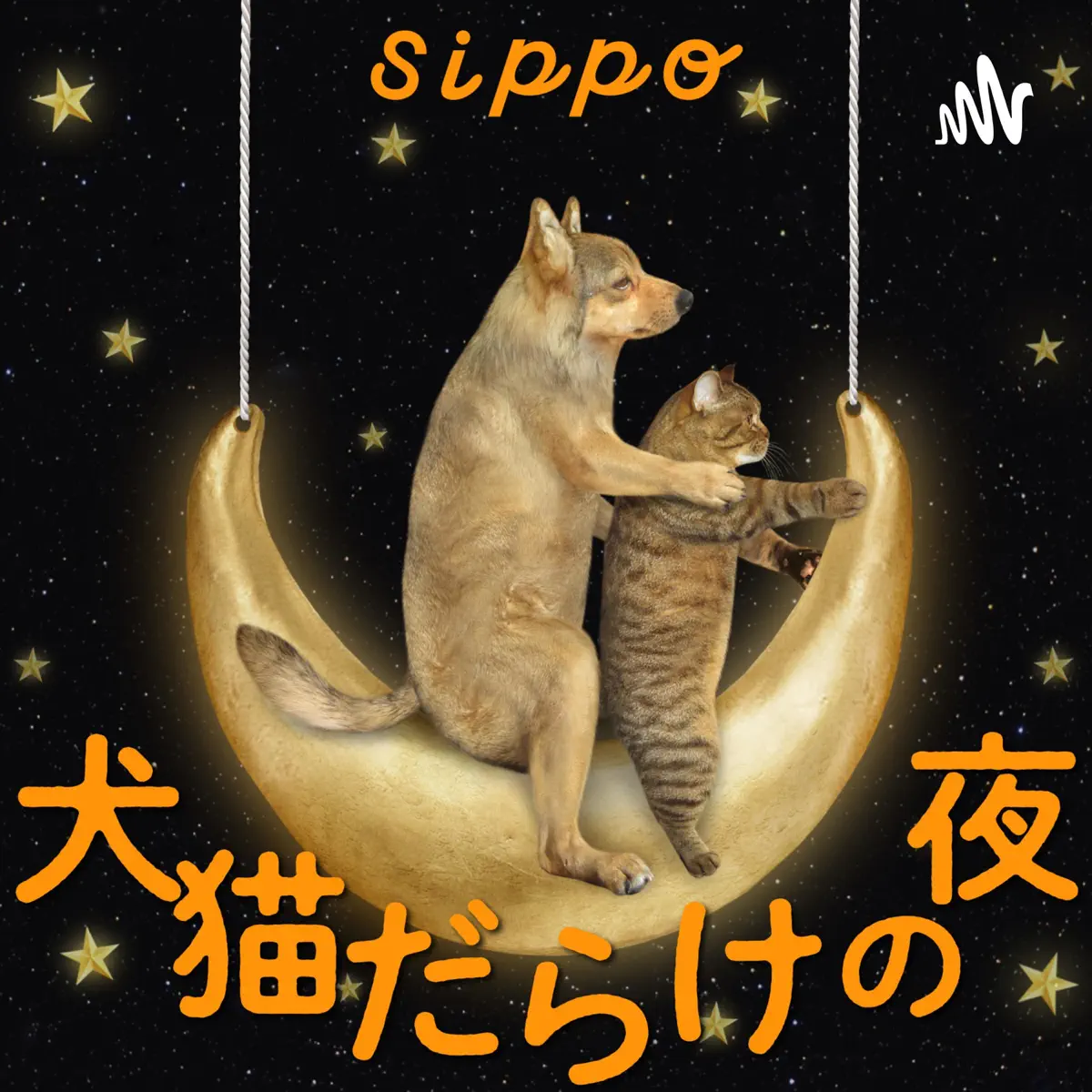 20【犬、猫】健康診断の検査項目 聴診、触診、視診でどんな