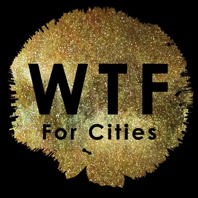 What is The Future for Cities?:Fanni Melles