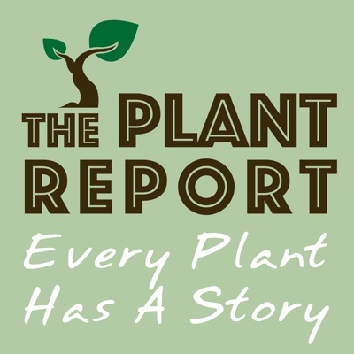 The Plant Report- Every Plant Has A Story