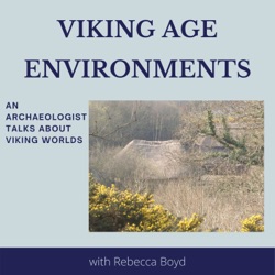 Viking Age Environments