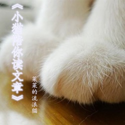 享受细微的爱和喜悦