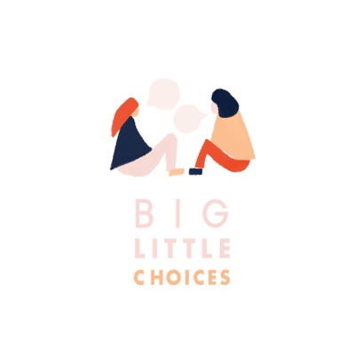 Big Little Choices